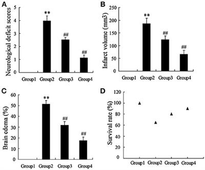 Protectiveness of Artesunate Given Prior Ischemic Cerebral Infarction Is Mediated by Increased Autophagy